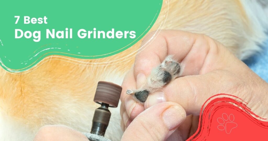 7 Best Dog Nail Grinders