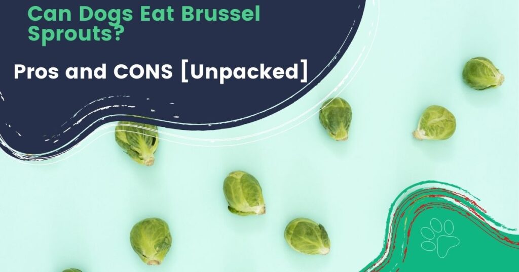 Can Dogs Eat Brussels Sprouts? Pros and CONS [Unpacked]
