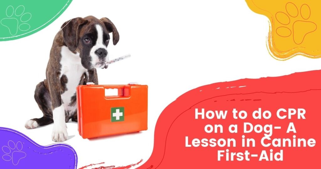 How to do CPR on a Dog- A Lesson in Canine First-Aid