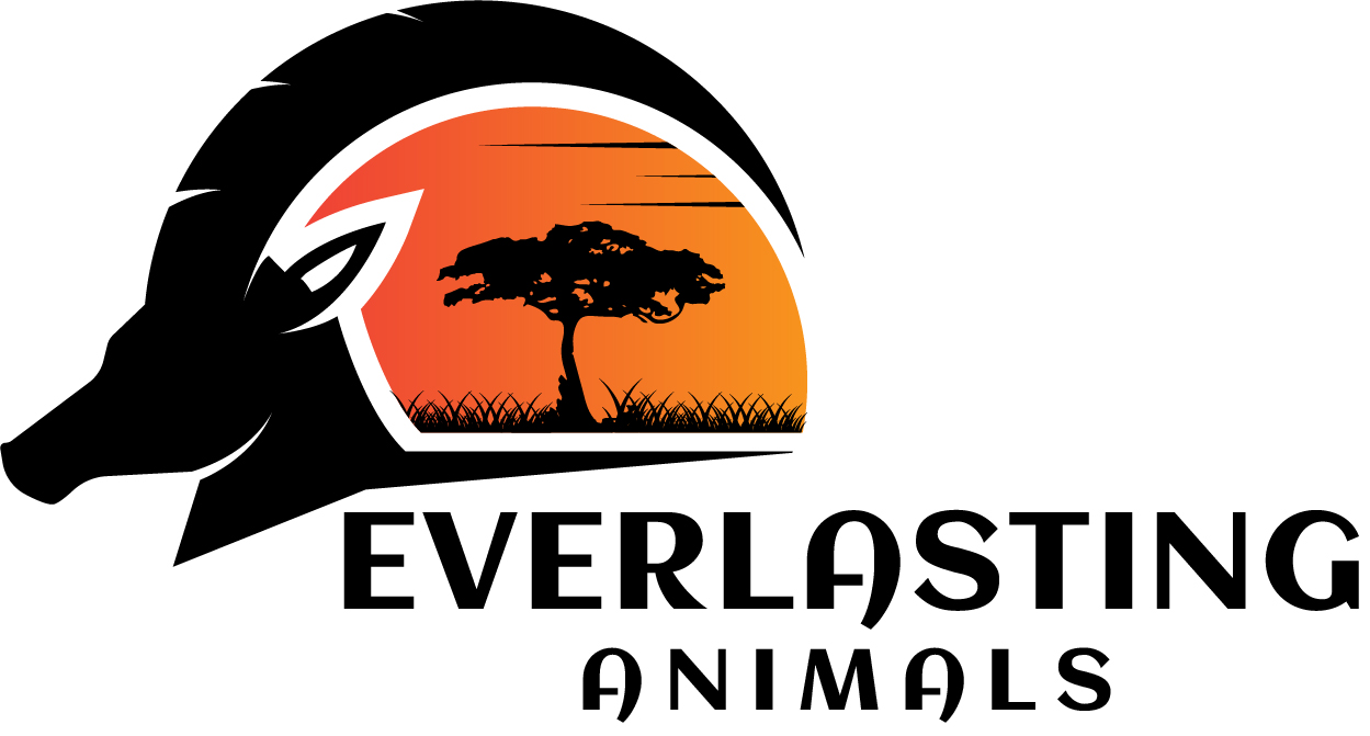 An antelope head with horns wrapping over a lone tree on the plains of the African savanna during sunrise or sunset. Above Everlasting Animals text.